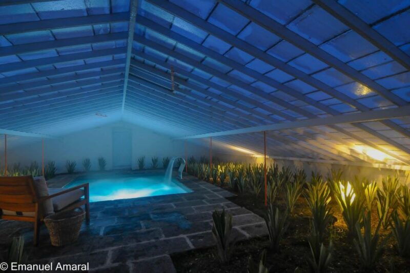 ponta-delgada-greenhouse-hot-tube-with-pineapple-tour