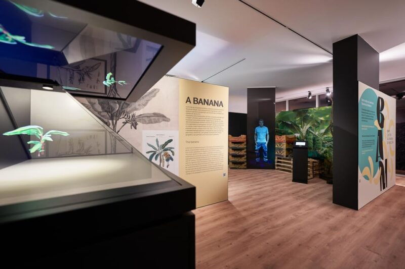 ponta-do-sol-madeira-banana-museum-guided-tour