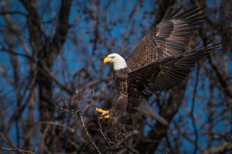 port-alice-sea-otter-and-wildlife-watching-boat-tour