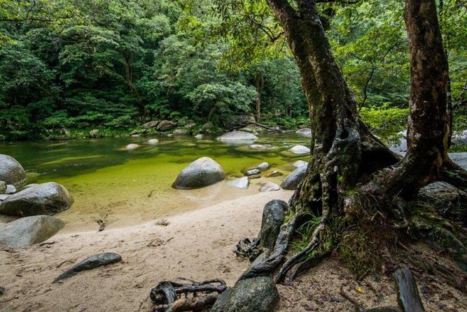 Port Douglas Daintree National Park Boutique Full-Day Tour - Who Will Love This Tour?