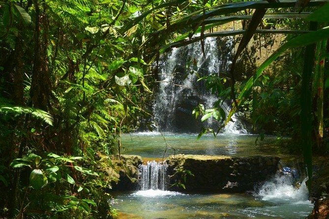 Port of Suva - Private Tour - Who Will Love This Tour?