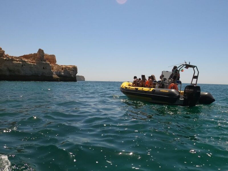 portimao-2-hour-dolphin-watching-boat-tour