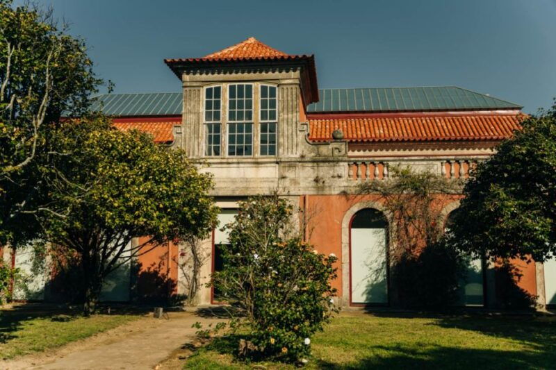 porto-national-museum-soares-dos-reis-e-ticket-city-tour