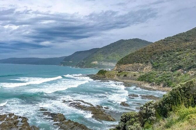 Premium Small Group Great Ocean Road & Wildlife with Lunch - Final Thoughts
