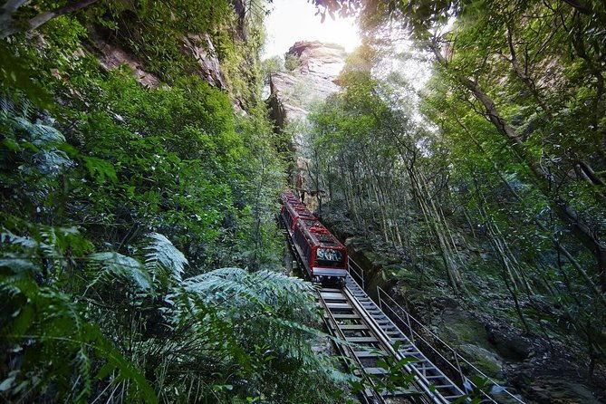 Private All Blue Mountains Day Tour - Itinerary Breakdown: What to Expect at Each Stop
