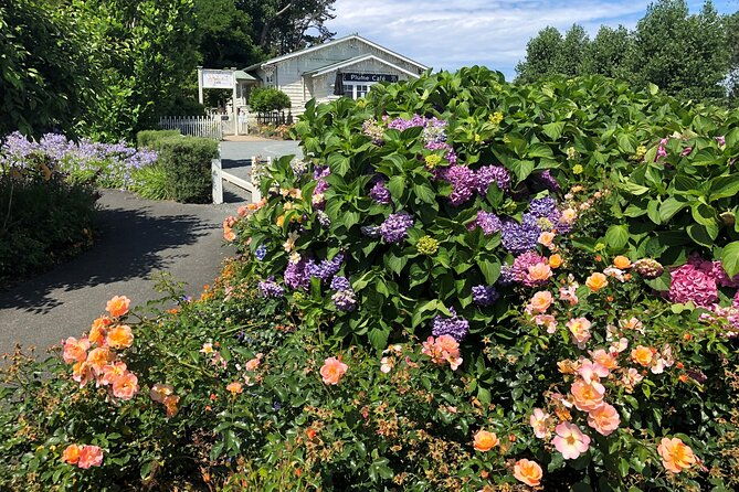 Private Auckland Wine & Dine Matakana Country & Cuisine - The Transportation and Group Experience