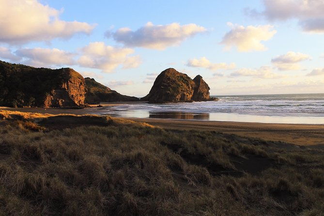 Private Auckland's West Coast - Piha/ Muriwai - Wild West Tour - The Comfort and Convenience of Private Transport