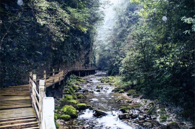 private-avatar-vip-zhangjiajie-national-forest-park-day-tour