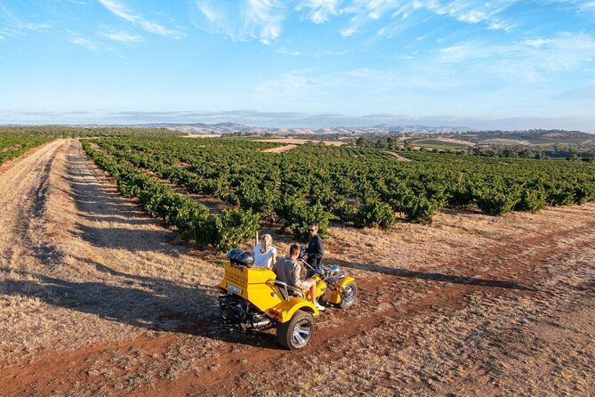 Private Barossa's Best Sightseeing Tour for Two - A Ride Like No Other: What’s Included and How It Works