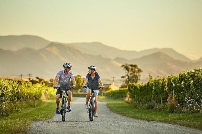 Private Biking Wine Tour (full day) in the Marlborough Region - What’s the Experience Really Like?