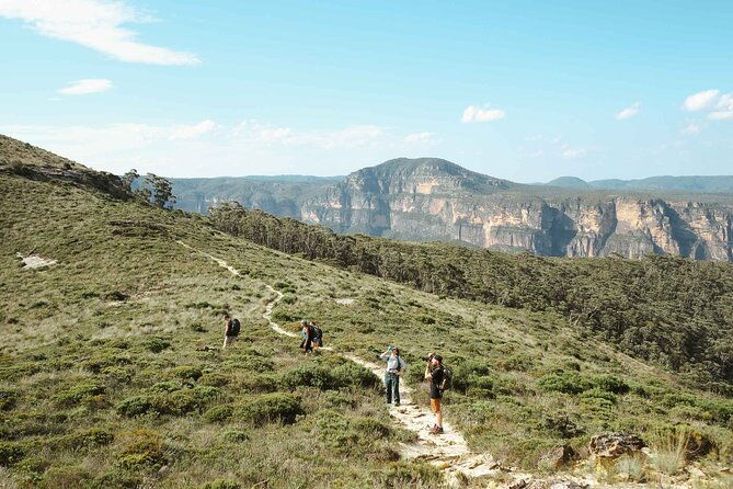 Private Blue Mountains Day Tour | Waterfalls, Koalas & Views - What to Expect from the Experience