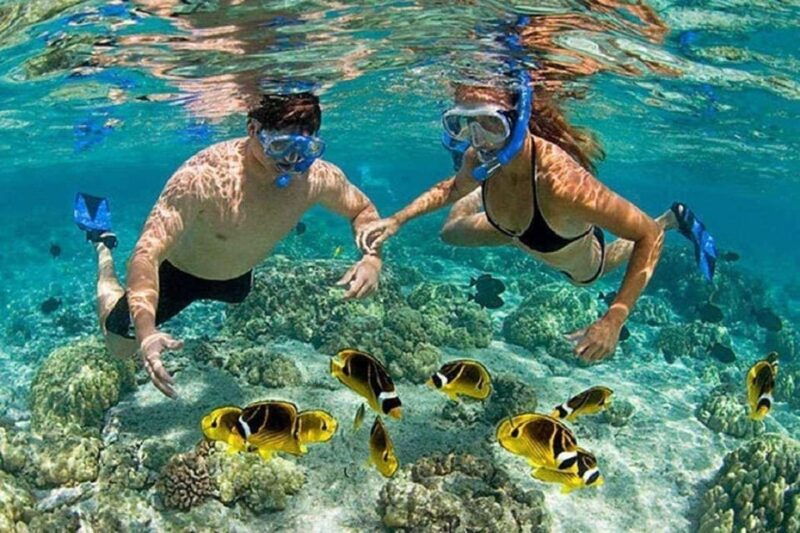 private-cham-island-snorkeling-1-day-tour