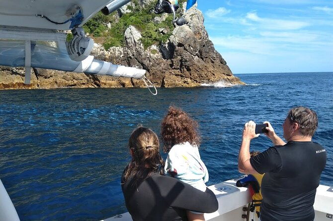 Private Charter 8 Hour Snorkel and Paddleboard the Poor Knights - 1 to 12 people - FAQ