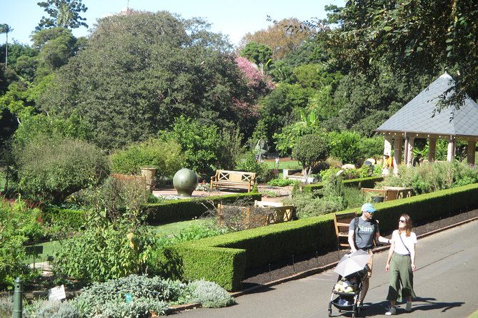 Private City Walking Tour from your hotel - The Experience: What You Can Expect