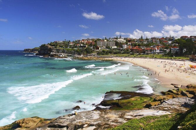 Private Coogee to Bondi Walk from your city hotel - The Experience in Detail