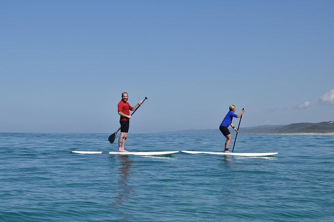 Private Double Island Point Wildlife Kayak or Surf Tour - Noosa - Exploring the Remote Beaches