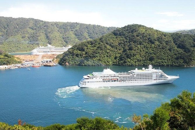 Private Excursion: Scenic and Seascape Delights from Picton - Practical Details and Value