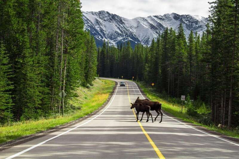 private-famous-movies-mountains-photo-safari-drive-4hrs