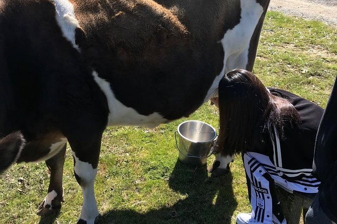 Private Farm Tour Experience - Who Will Love This Experience?