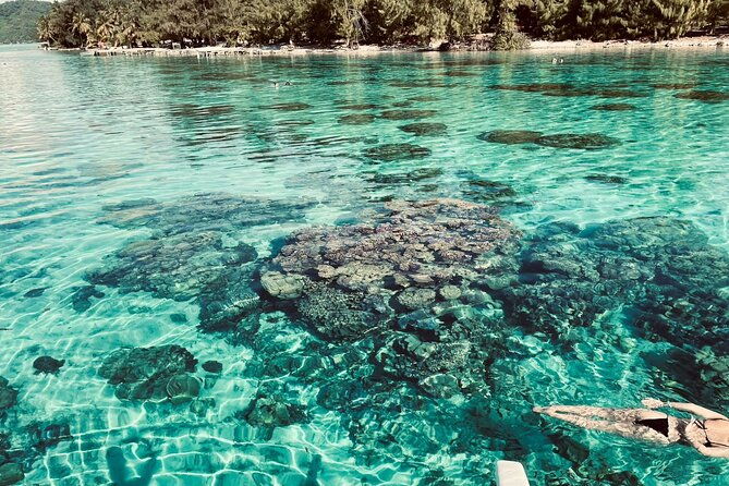 Private Full Day Lagoon Safari and Lunch on a Motu in Bora Bora - The Sum Up