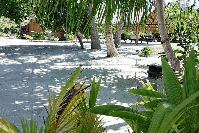 PRIVATE FULL DAY LAGOON TOUR - Bora Bora Cultural Lagoon Tour - Who Should Consider This Tour?  