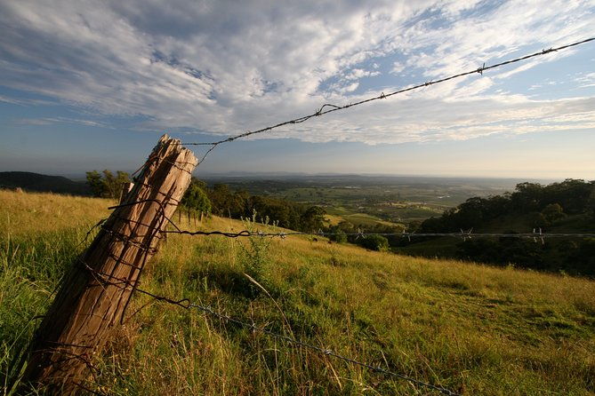 Private full-day wine tour in the Hunter Valley - Why Guests Love This Tour