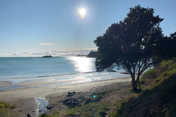 Private Guided Best of Waiheke Island - FAQ