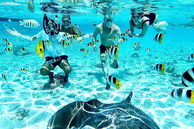 PRIVATE HALF DAY LAGOON TOUR - Bora Bora Cultural Lagoon Tour - The Practical Details: Logistics and What It Means for You
