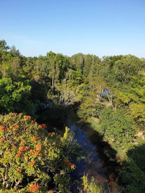 private-half-day-tour-nature-wildlife-forest-in-can-tho