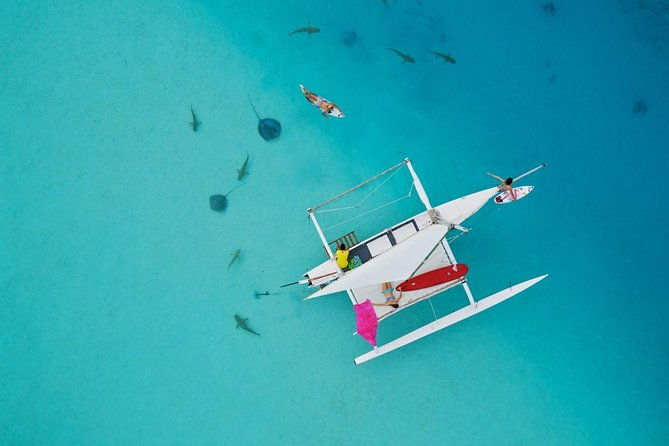 Private Moorea Discovery Half-day Sailing - Who Will Love This Tour?