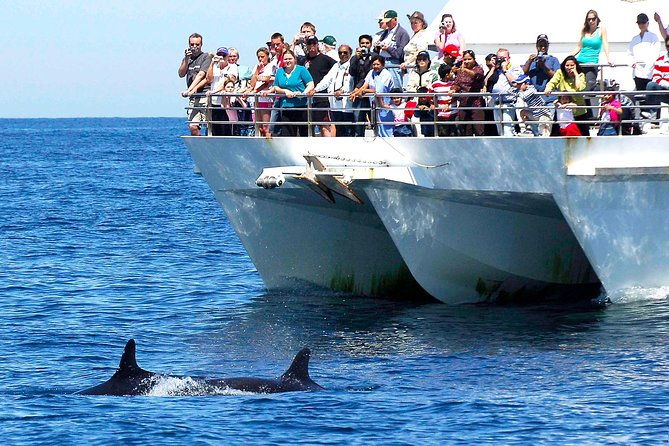 Private Port Stephens Day Trip from Sydney incl Dolphin Cruise - Additional Activities & Options