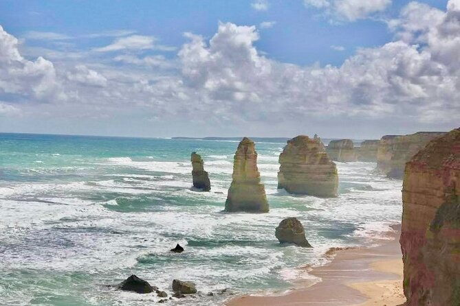 Private Premium Great Ocean Road with Lunch & Wildlife spotting - Analyzing the Value