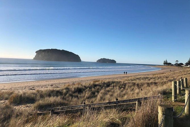 Private The Coromandel Tour - Auckland Tour House - Who Should Book This Tour?