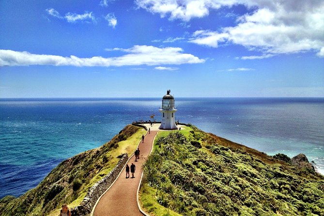 Private Tour [4 Days]: Hokianga, Tane Mahuta & Bay of Islands - What We Loved