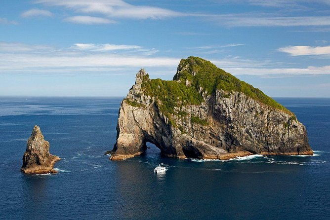Private Tour: Bay of Islands Day Trip from Auckland - The Itinerary Breakdown