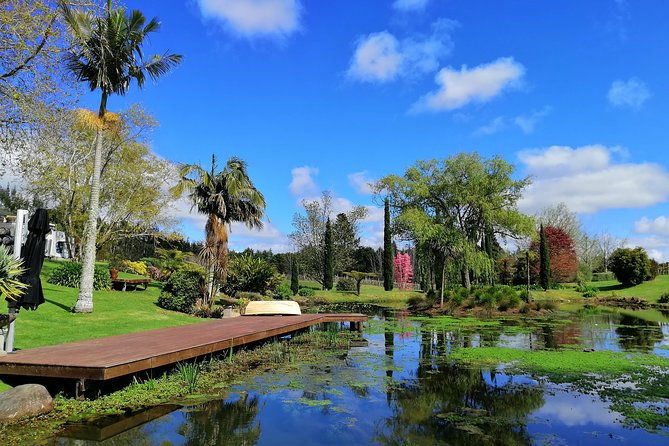 Private Tour: Bay of Islands Tour with Wine Tasting - Analyzing the Value for Travelers