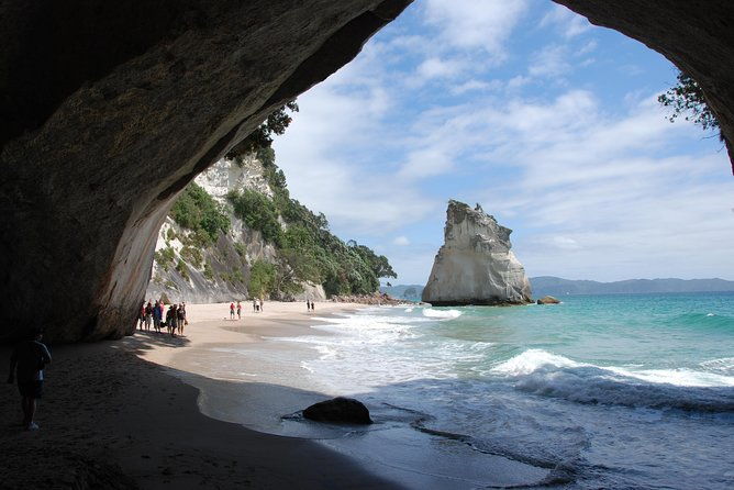 Private Tour - Coromandel Beach, Caves & Forest - Value for Money: Is It Worth the Cost?
