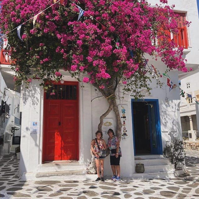 private-tour-customize-your-perfect-day-in-mykonos