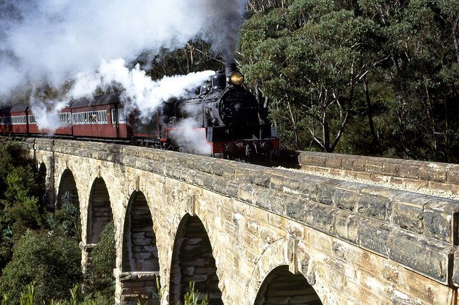 [Private Tour] Healesville Sanctuary Wildlife & Puffing Billy Steam Train - Who Would Benefit Most?