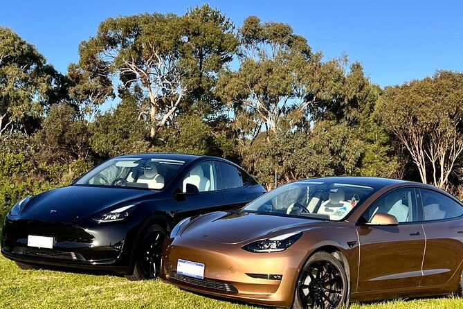 Private Tour of Rojina's Fleurieu in McLaren Vale - Transportation and Group Size