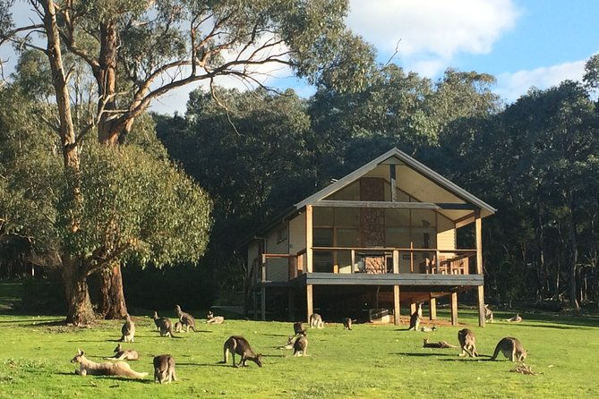 [PRIVATE TOUR] Yarra Valley Winery | Day Tour - Deep Dive into the Itinerary