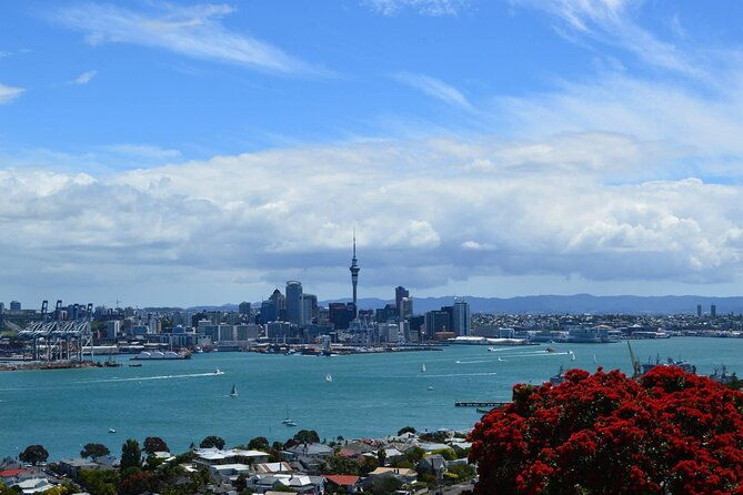 Private Transfer From Auckland Domestic Airport To Auckland City - Pricing and Value