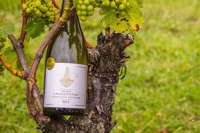 Private Vineyard Bush Walk Tour in Waiheke Island - Who Will Love This Tour?