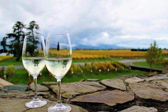 Progressive Wine and Gourmet Trail of Marlborough - FAQ