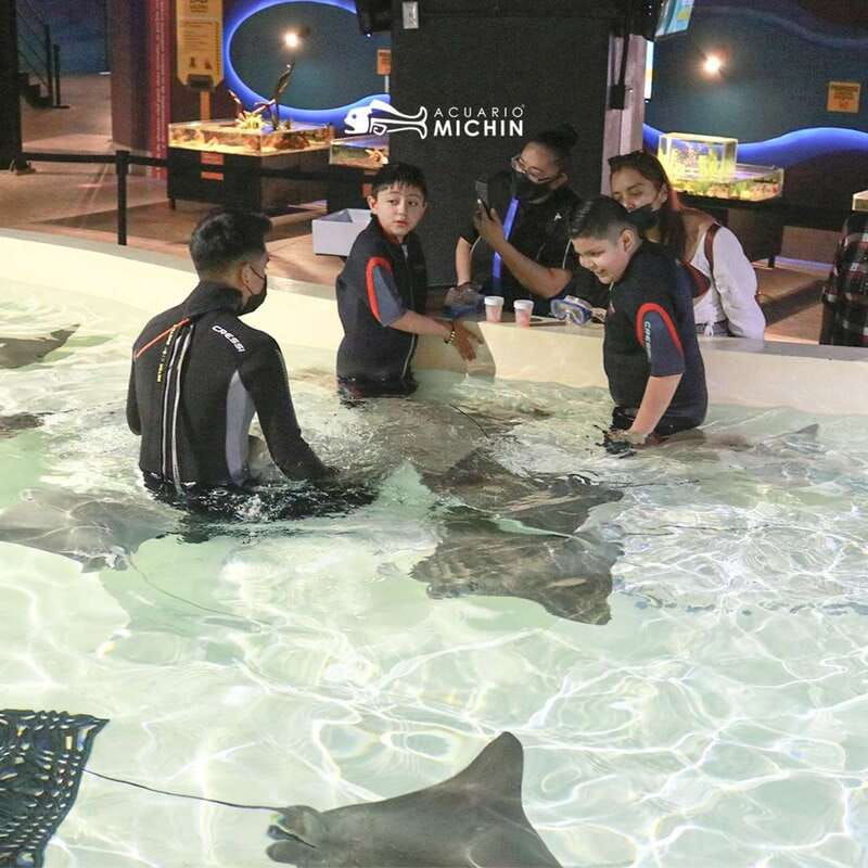 puebla-ticket-to-aquarium-michin