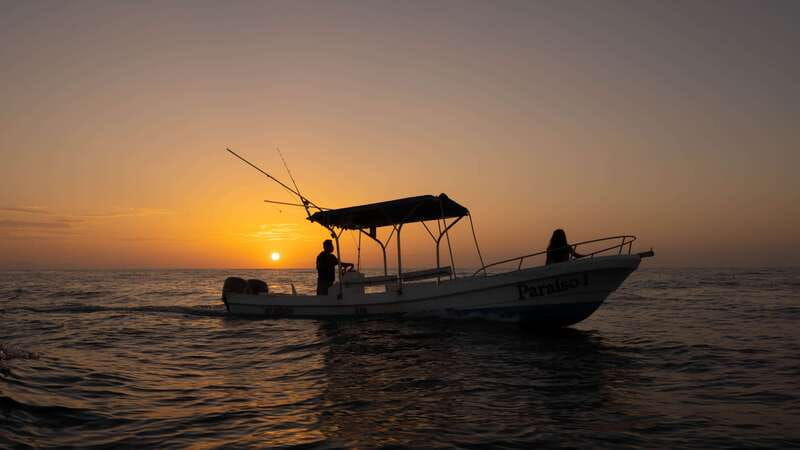 puerto-escondido-boat-tour-among-dolphins-and-turtles