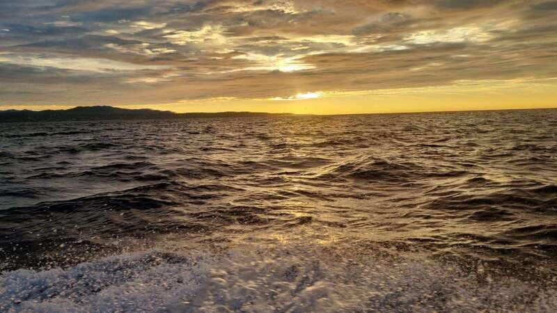 puerto-escondido-the-best-dolphin-watching-adventure