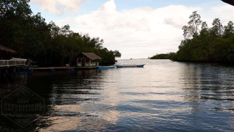 puerto-princesa-firefly-watching-paddle-boat-tour-dinner