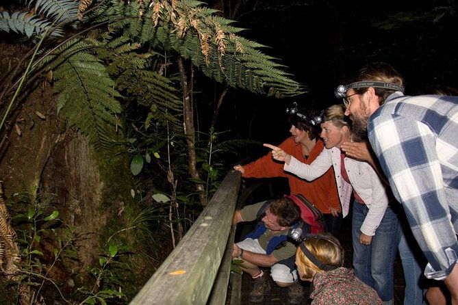 Puketi Rainforest Guided Walks .This is not a Shore Excursion product . - FAQs