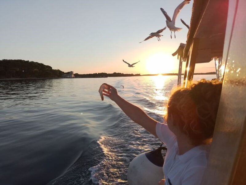 pula-dolphin-watching-cruise-at-sunset-with-dinner-drinks